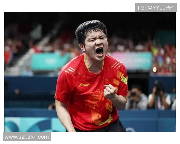 樊振东与马龙2017年巅峰对决回顾乒乓球历史上的经典时刻